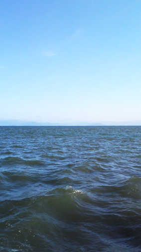 f0178153_752910.jpg