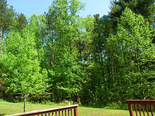 a0149356_4141095.jpg