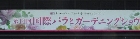 e0088260_22163668.jpg