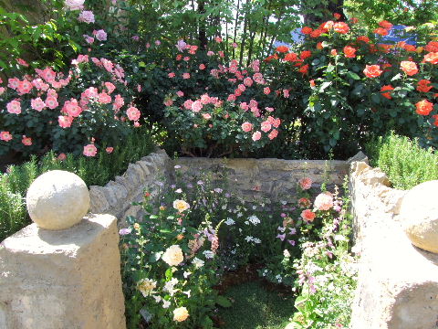 e0088260_2217311.jpg