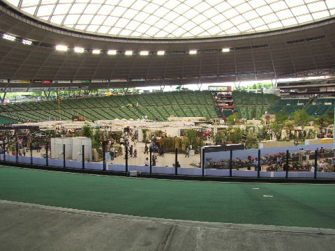 e0088260_22175782.jpg