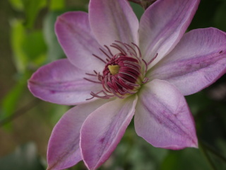 e0105760_23422837.jpg