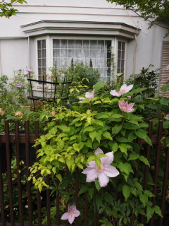 e0105760_23445118.jpg