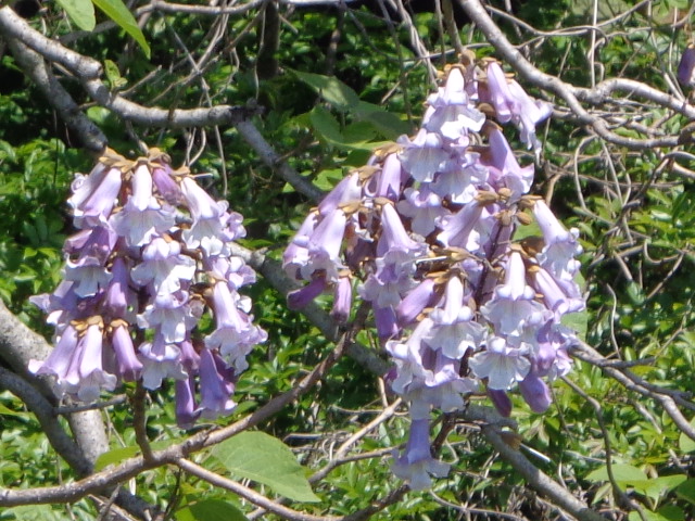 b0061261_2156331.jpg