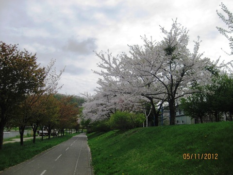 f0098562_1024933.jpg