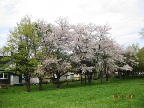 f0098562_10325100.jpg