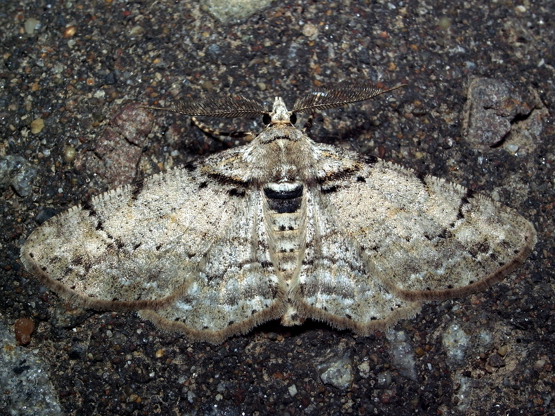 b0130166_20332331.jpg