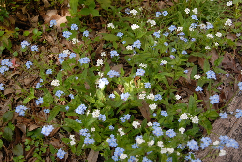 e0151566_20123330.jpg
