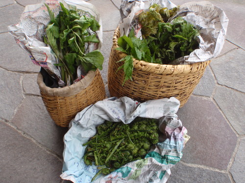 f0224772_22145979.jpg
