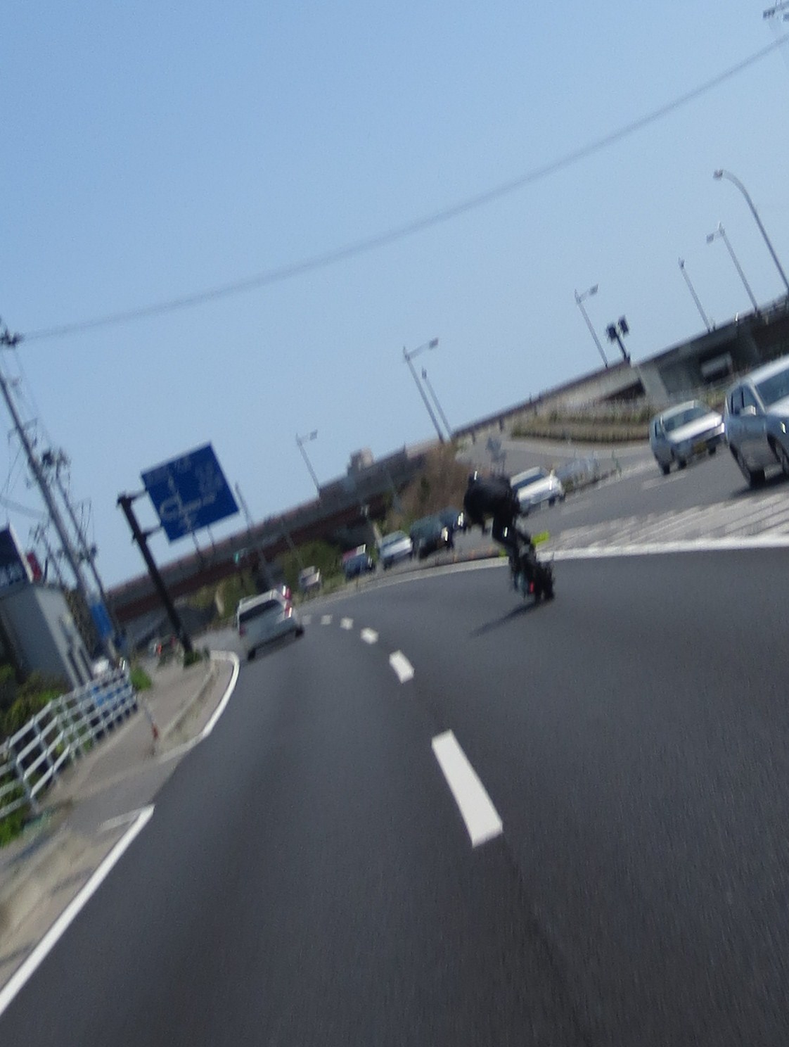 e0267476_20441850.jpg