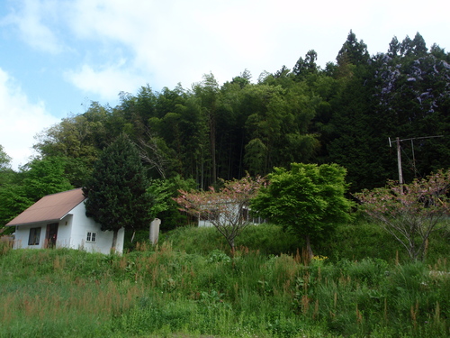 f0223480_8215620.jpg