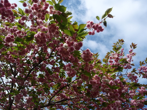 f0223480_8221125.jpg