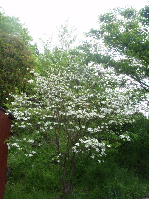 f0223480_8222634.jpg