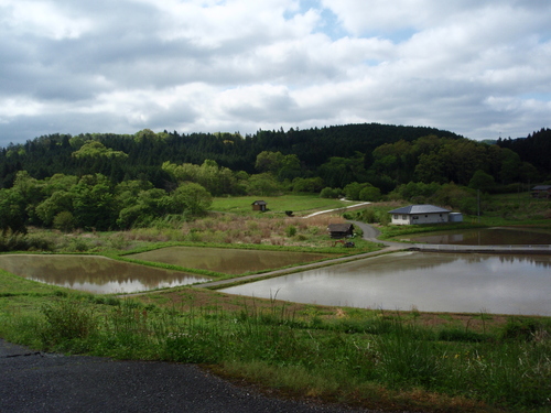 f0223480_8223868.jpg