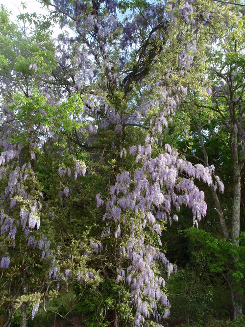 f0223480_822453.jpg