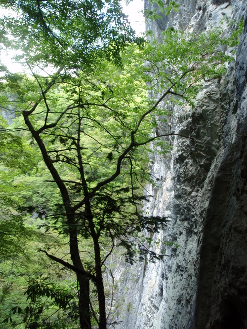 f0223480_823168.jpg