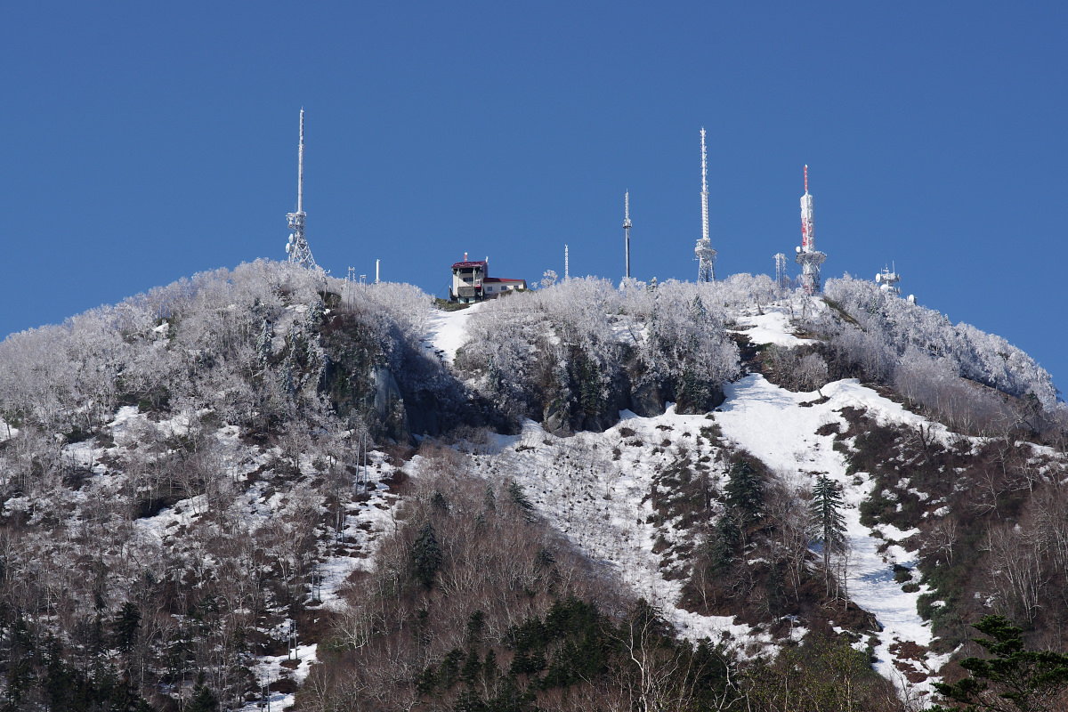 e0051186_2112640.jpg