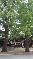 f0008692_2338269.jpg