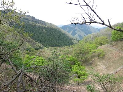 c0118495_22515299.jpg