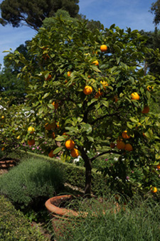 f0106597_162744100.jpg