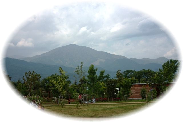f0218002_743223.jpg