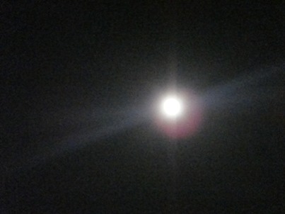 a0167803_040100.jpg