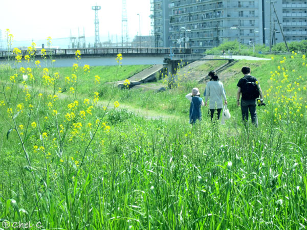 a0154706_10343190.jpg