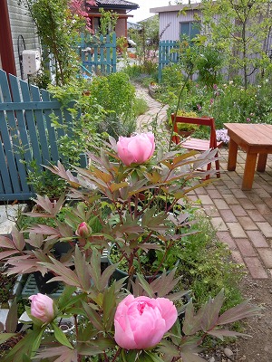 c0117007_21285550.jpg