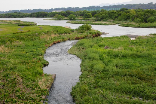 e0123808_2385687.jpg