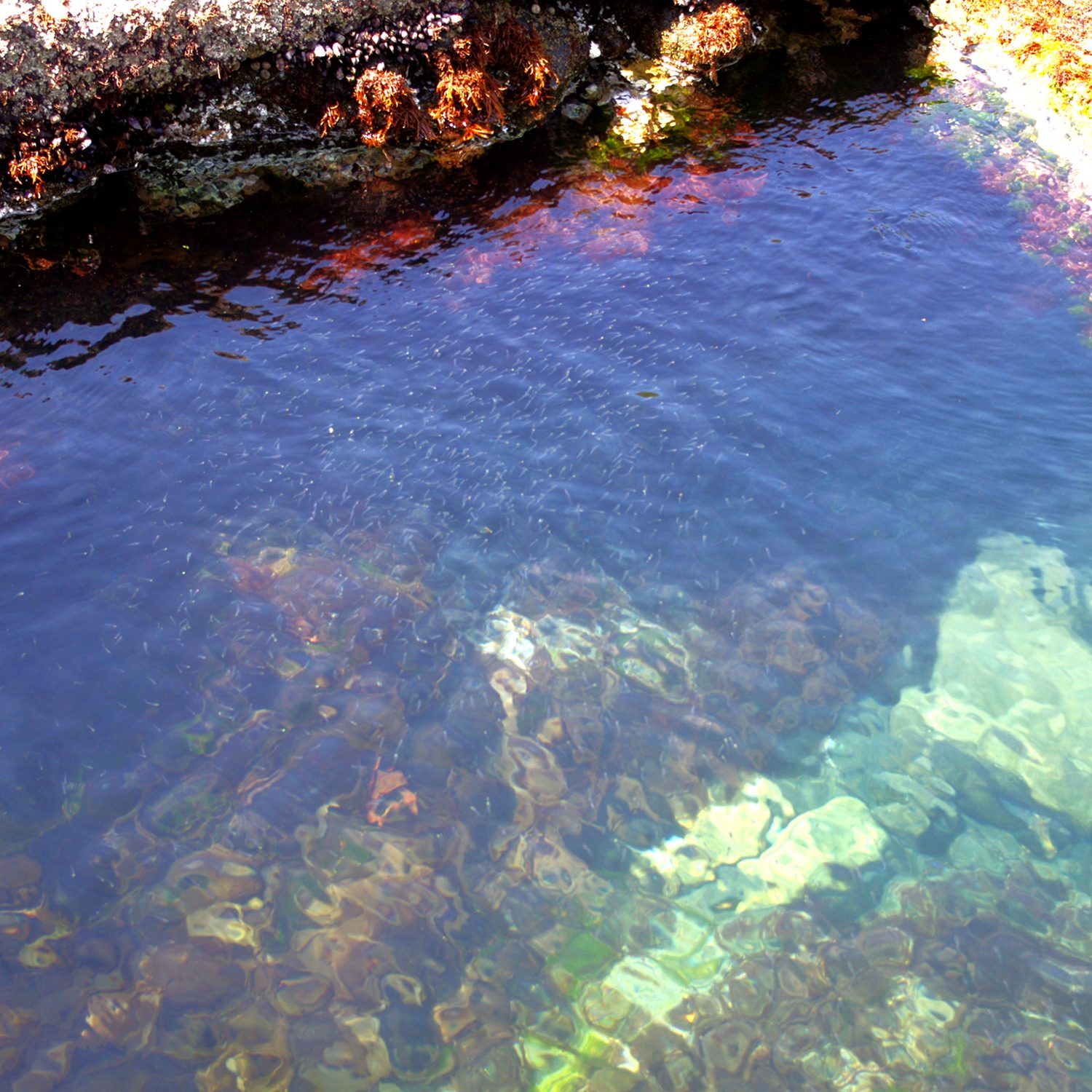 e0142611_12564.jpg
