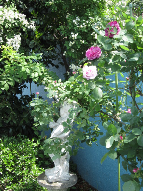 d0070113_14395955.jpg
