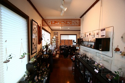 b0072515_2422431.jpg