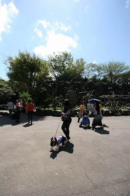 b0072515_2455649.jpg