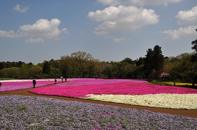 d0070920_2215590.jpg