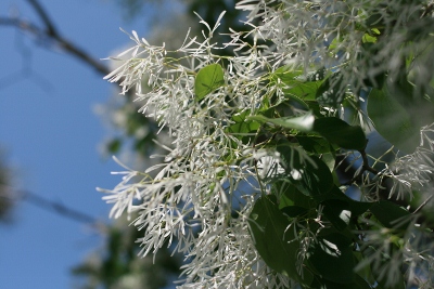 f0097620_12275035.jpg