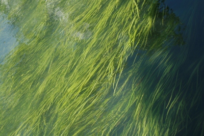 f0097620_12395433.jpg
