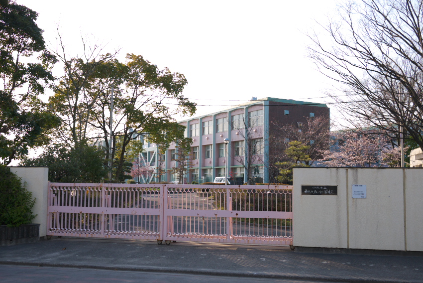 e0135024_9395698.jpg
