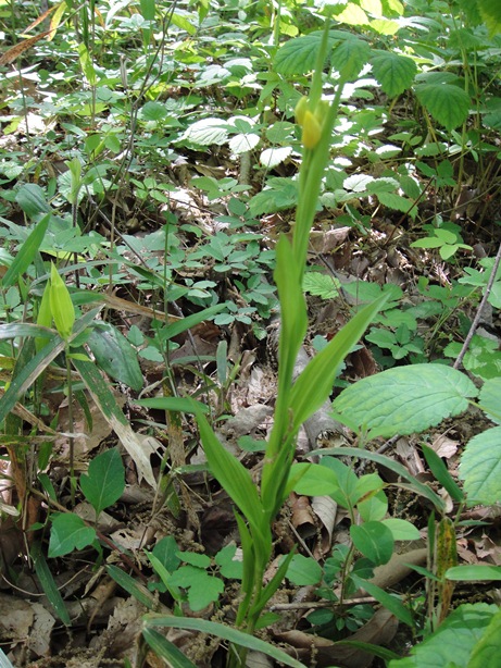 b0044825_12334754.jpg