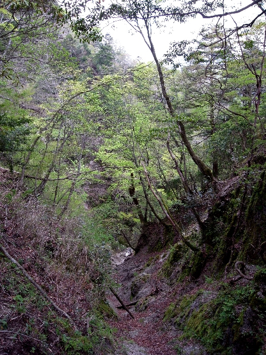 f0103126_21153365.jpg