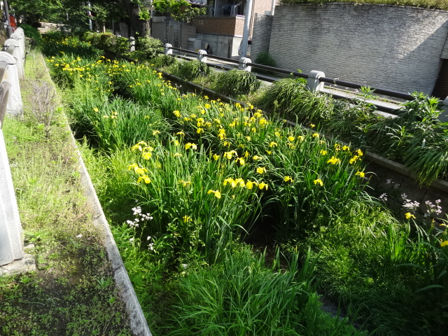 e0016828_1132549.jpg