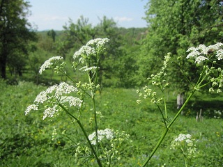 c0051529_22462890.jpg