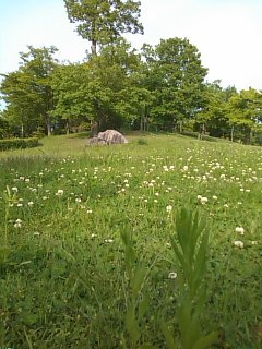 c0100534_7525632.jpg