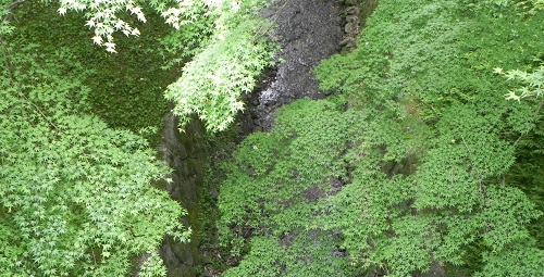 d0164636_75237.jpg