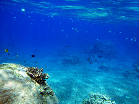 f0014842_17485891.jpg