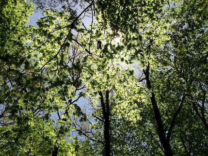 e0248844_2220134.jpg