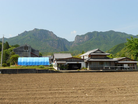 a0206345_1983254.jpg