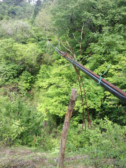 c0215945_23561190.jpg