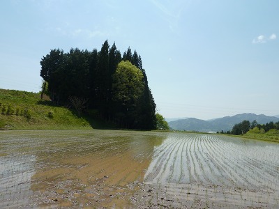 c0220047_1651250.jpg