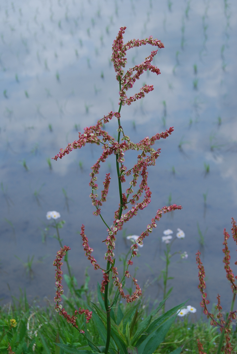 f0000148_1440101.jpg