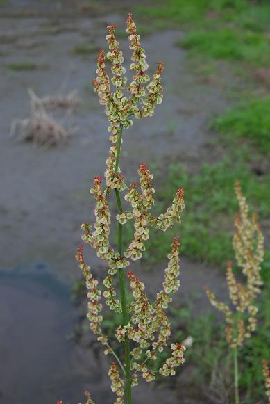 f0000148_14404821.jpg